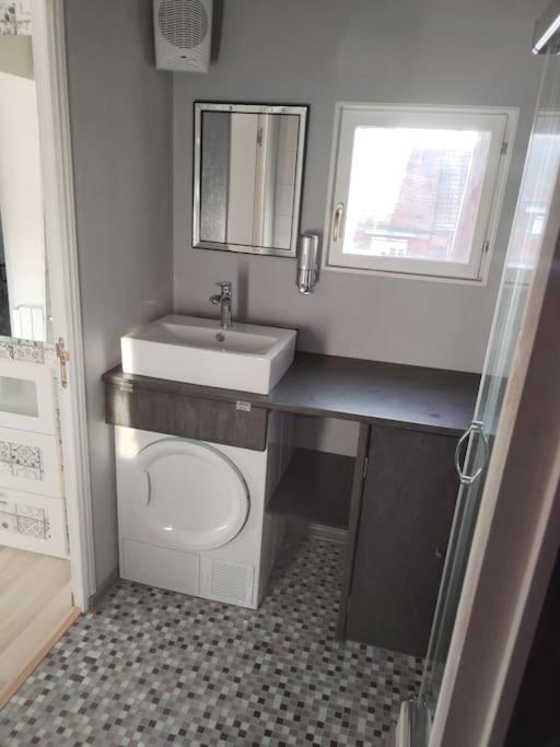 Charmant Appartement Cosy Selestat Ngoại thất bức ảnh
